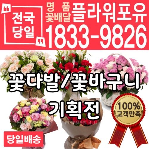 플라워포유 생화 꽃바구니 꽃다발 생일 출산 기념일 축하 전국 배달서비스 당일배송